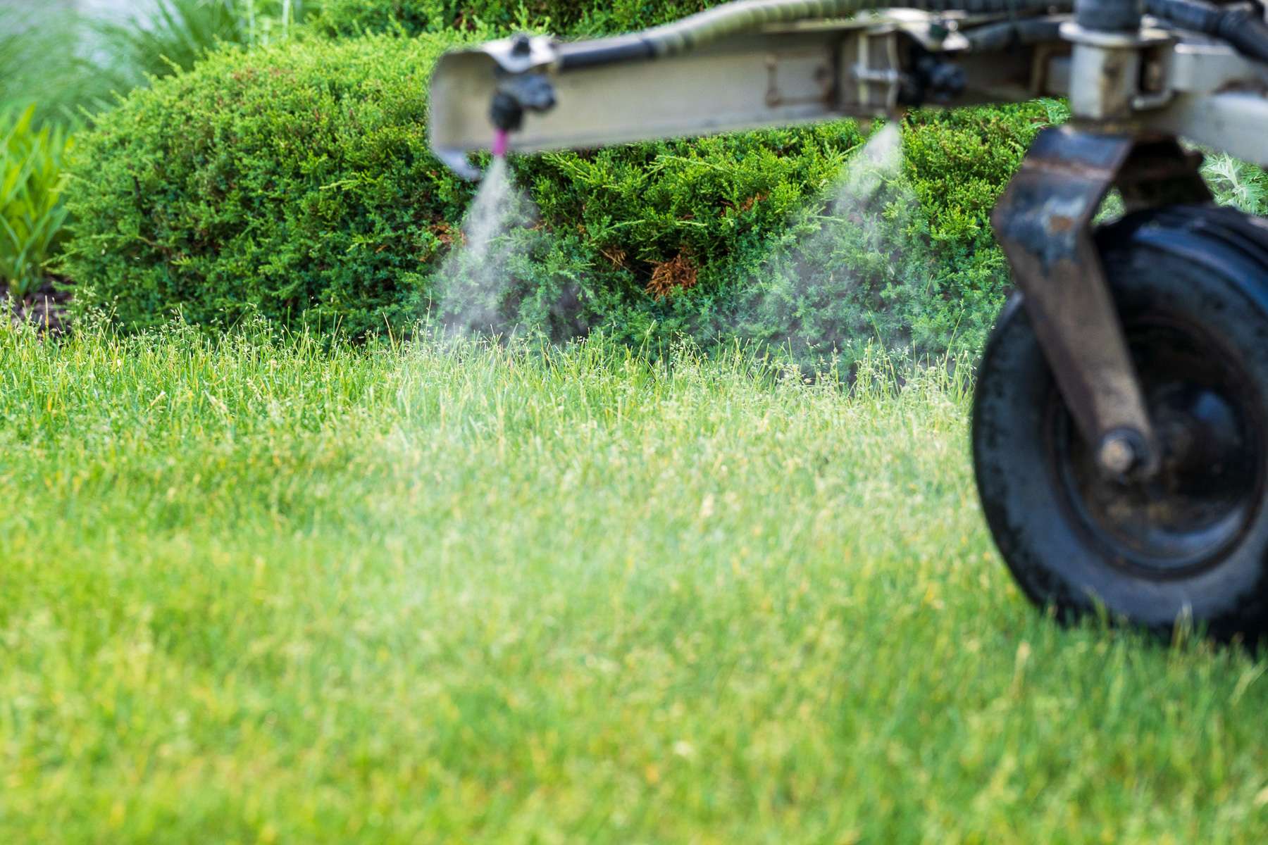 commercial lawn sprayer applying liquid fertilizer or weed control