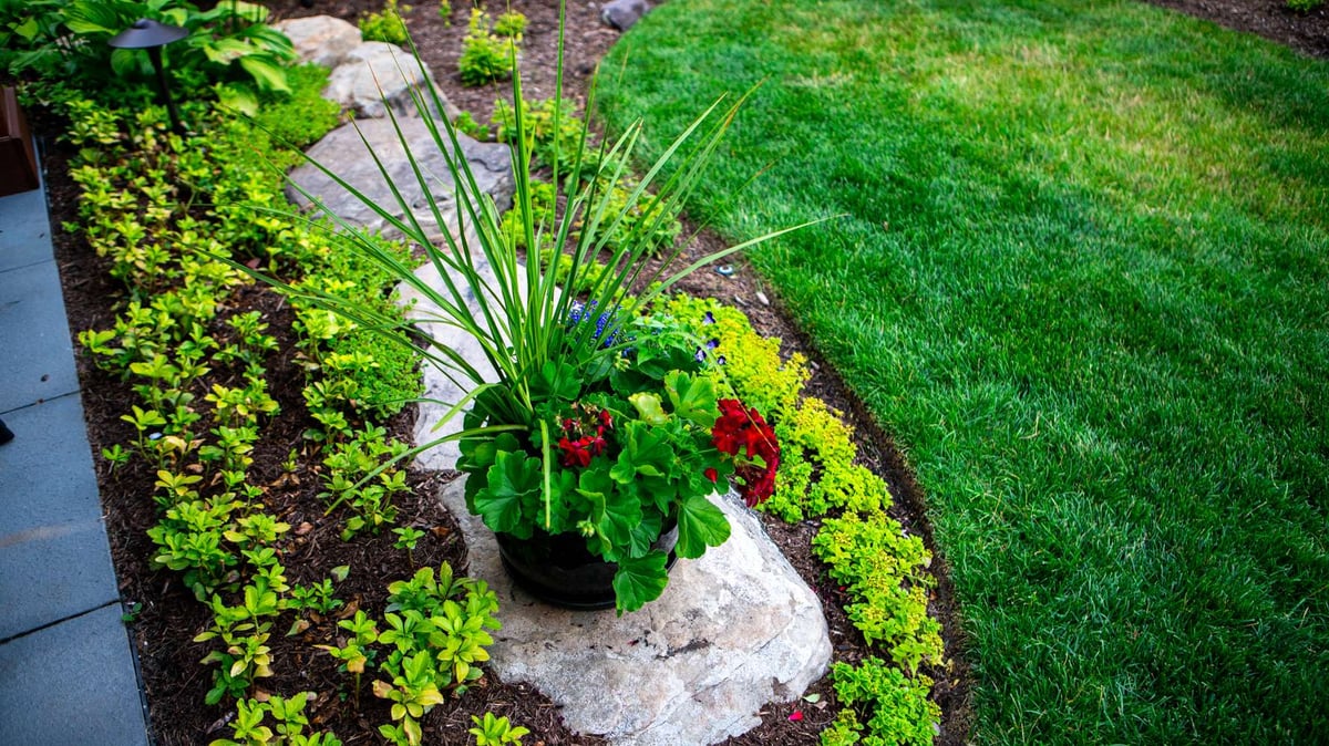 landscaping with plantings and container planting