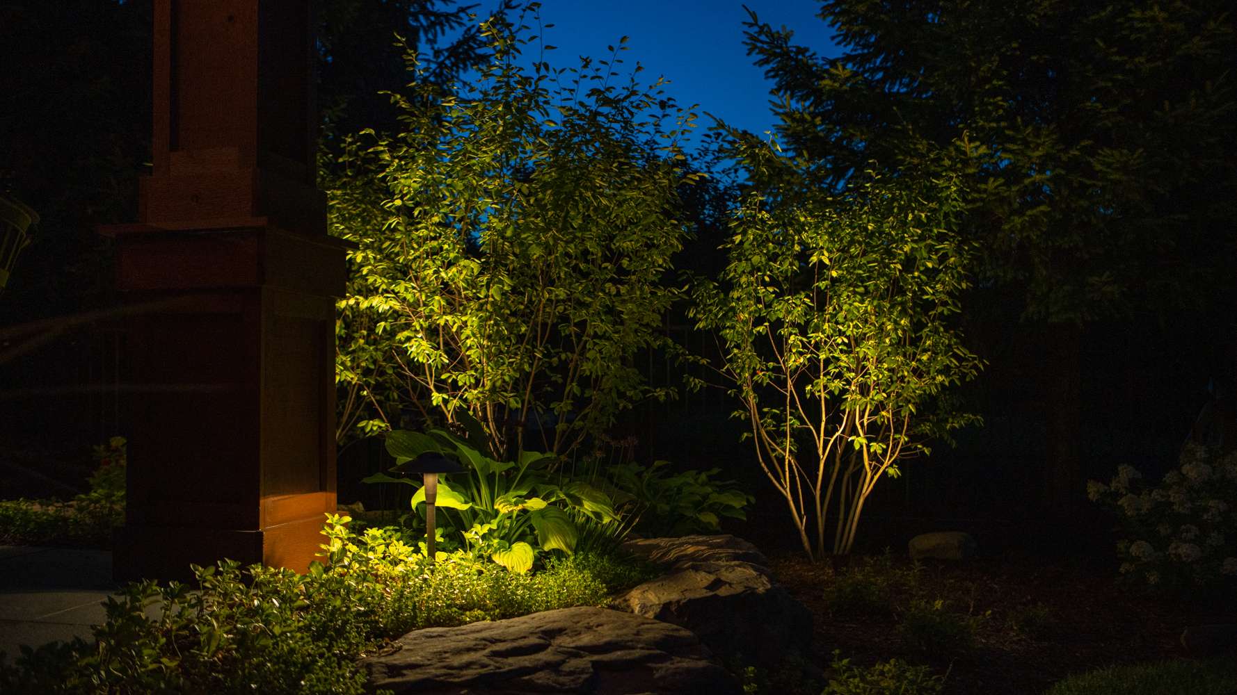 5 Landscape Lighting Ideas for Trees: How to Illuminate Your Trees