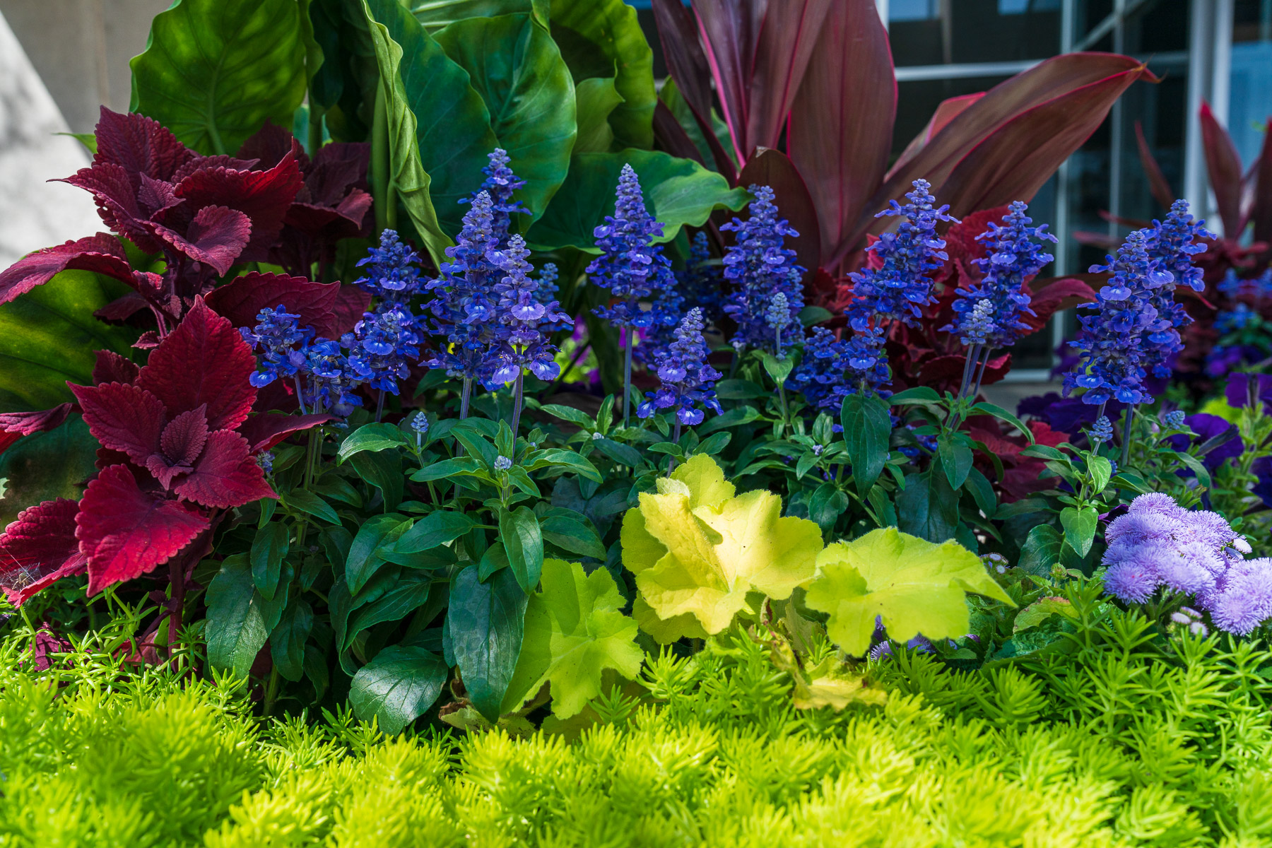 3 Tips for Seasonal Color on Commercial Landscapes in Greater Chicago